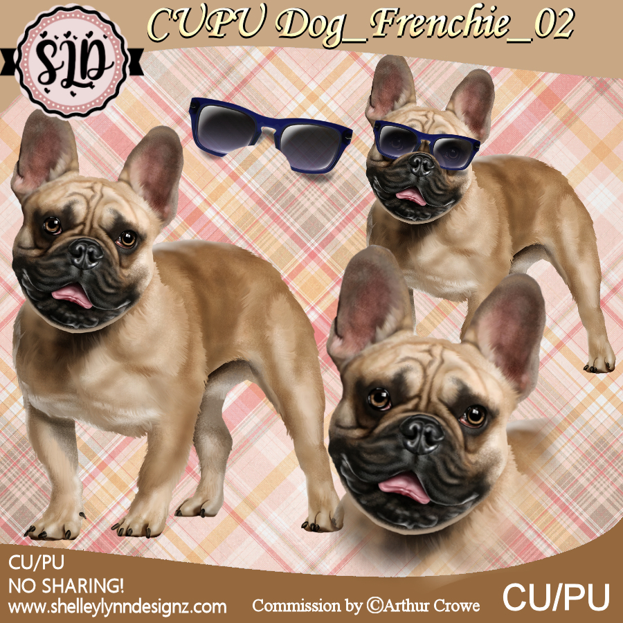 SLD_CUPU_Dog_Frenchie_02 - Click Image to Close